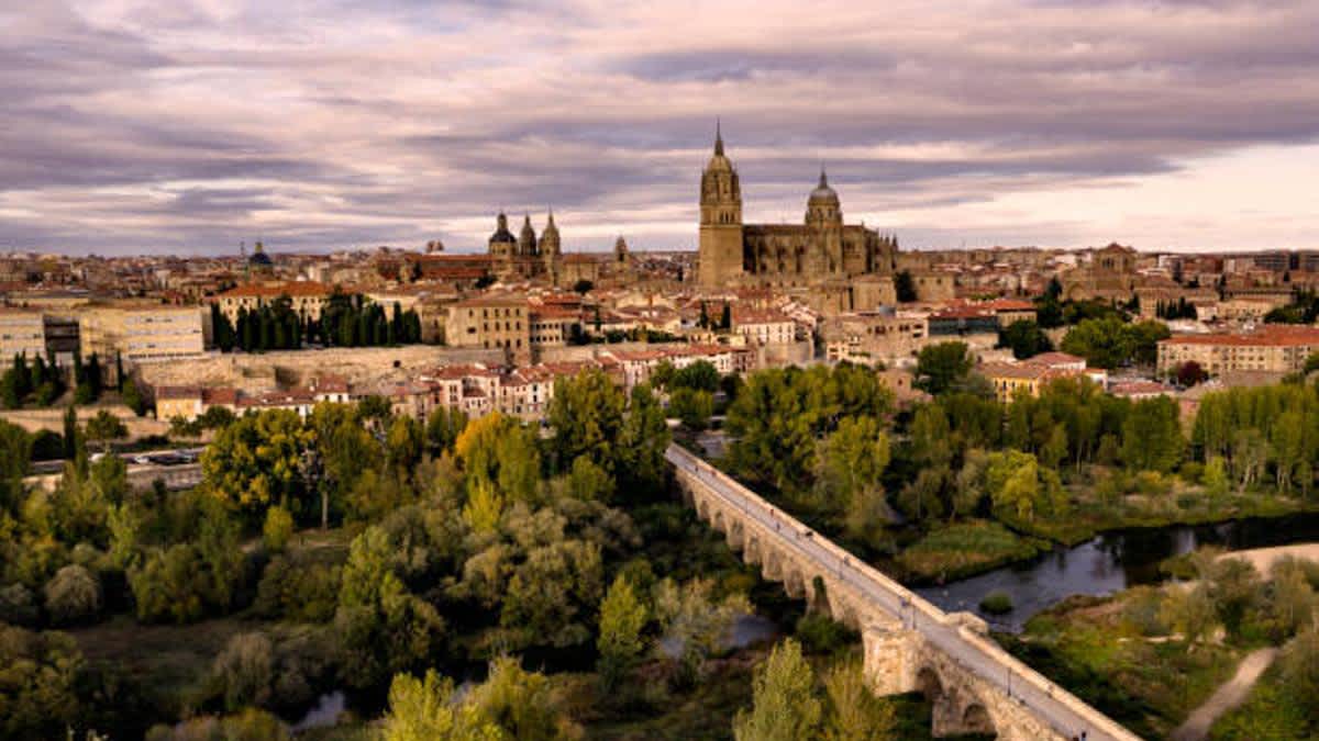 Salamanca Impulsa su Desarrollo Económico