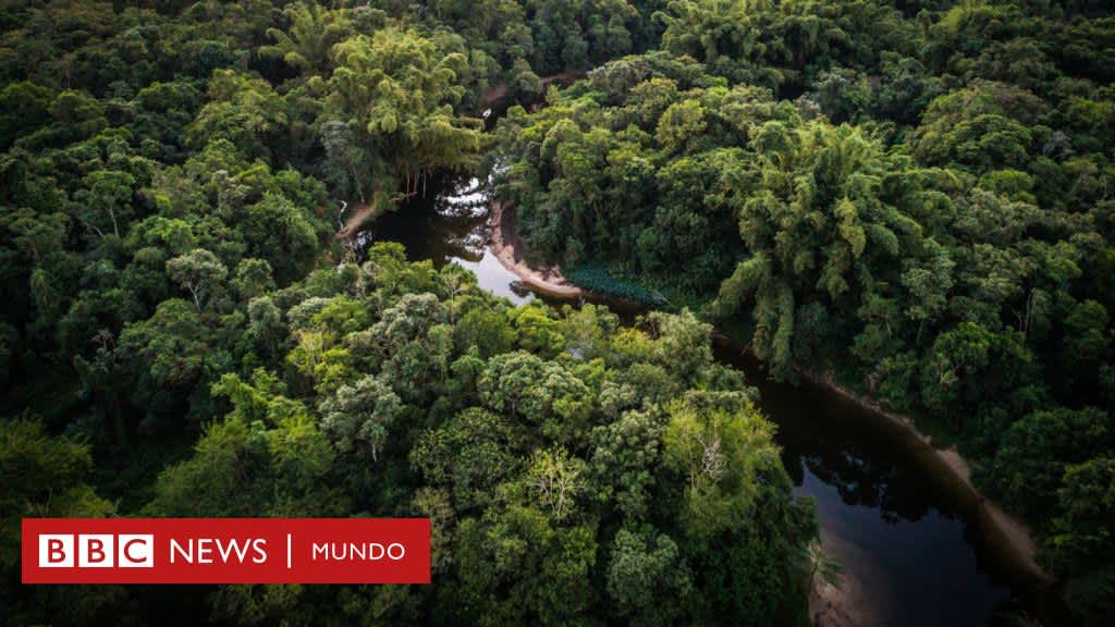 7 avances que hubo en 2024 en la protección del medio ambiente y la lucha contra el cambio climático