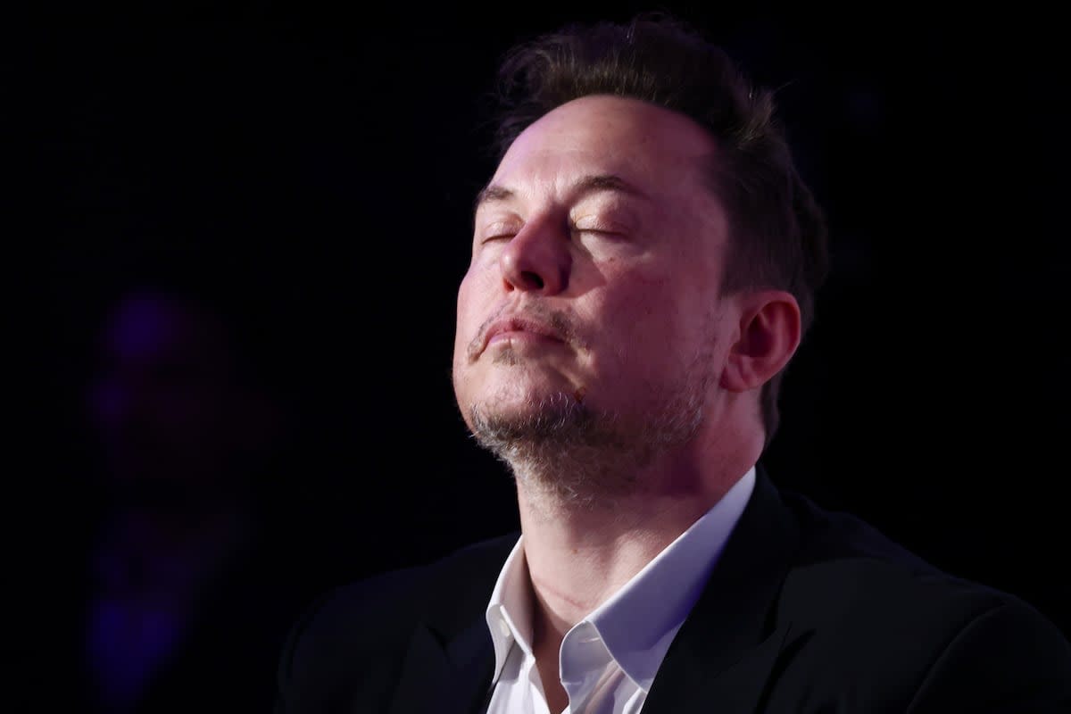 Elon Musk, presidente no electo y agente del caos