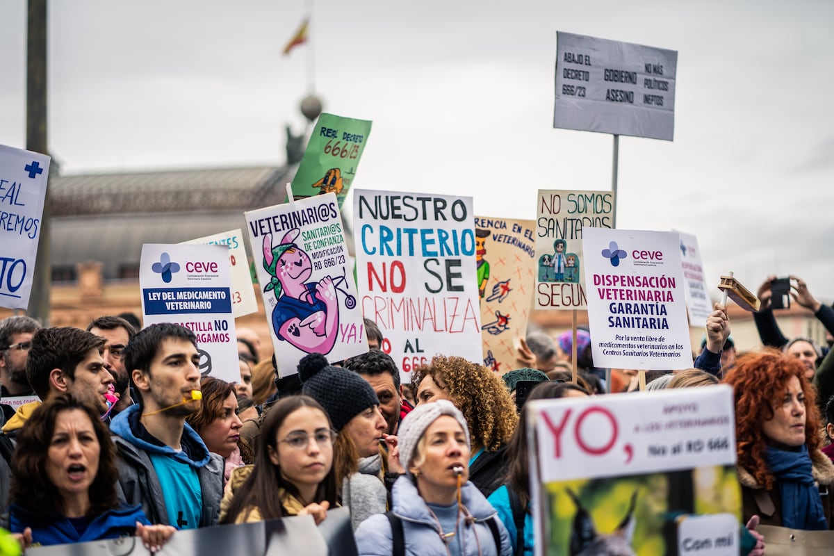 ¿Está en riesgo la salud de las mascotas? Los veterinarios salen a la calle por las trabas en la prescripción de antibióticos