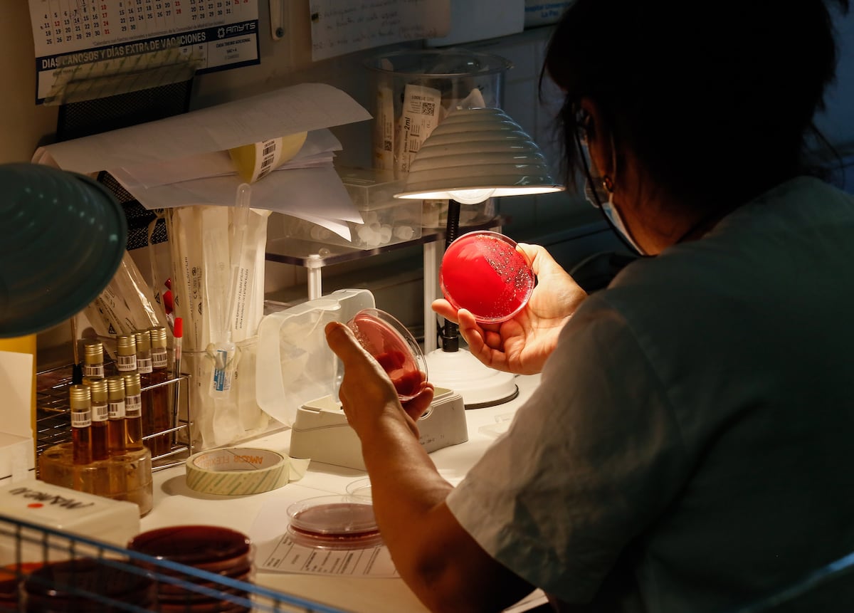 Los ‘patitos feos’ de la medicina se reivindican: “Tenemos alta empleabilidad y calidad de vida”