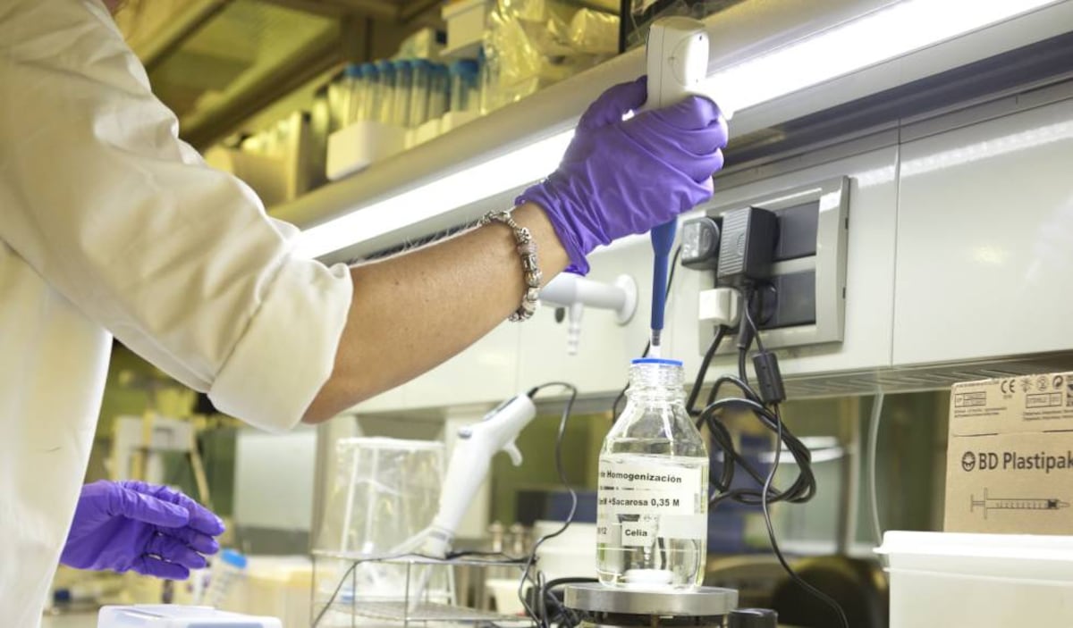 El Gobierno limitará la influencia en la sanidad pública de los médicos que cobran de las farmacéuticas