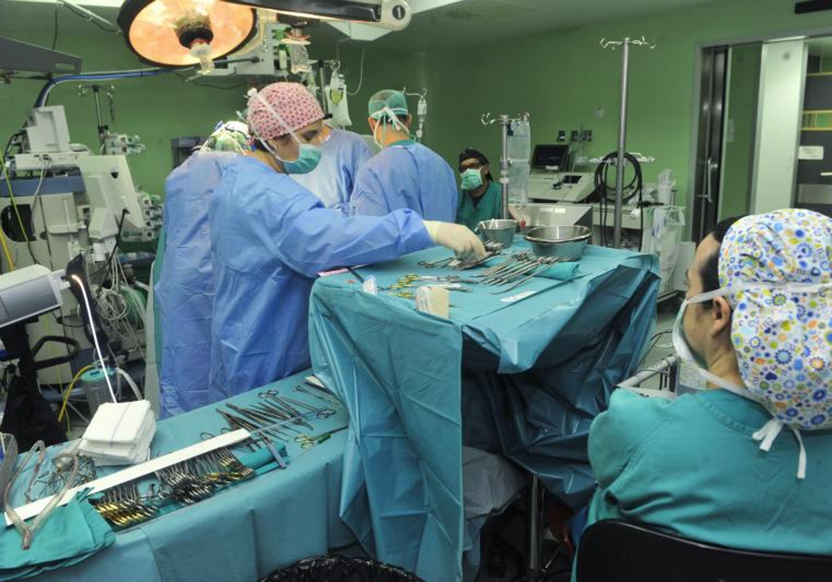 Descubren una molécula en el intestino asociada con la aterosclerosis, causa de enfermedades cardiovasculares