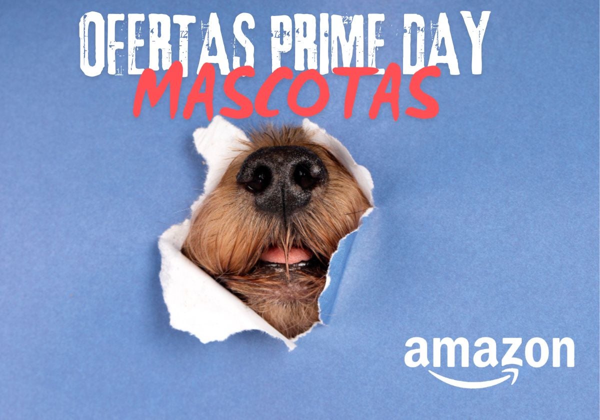 Estas son las mejores ofertas para tu mascota en el Prime Day 2025 de Amazon