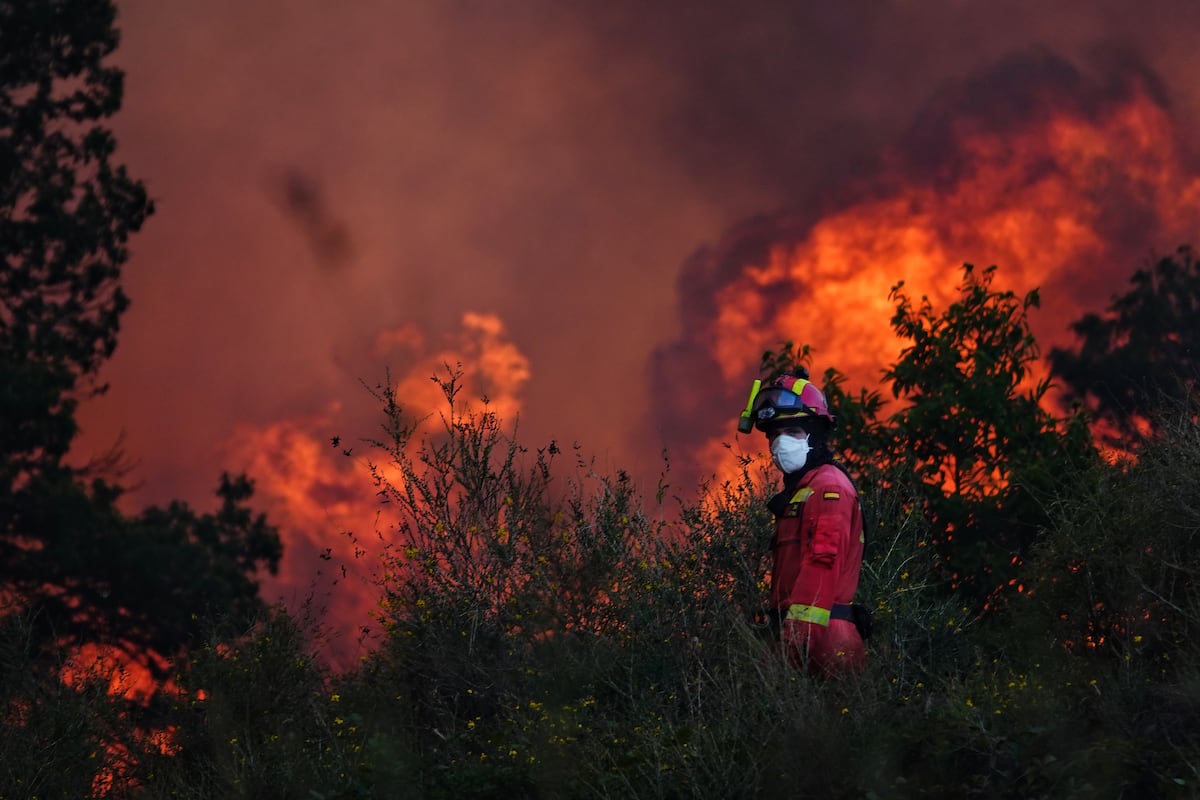El Gobierno fija las directrices para que las autonomías elaboren los planes preventivos contra el fuego
