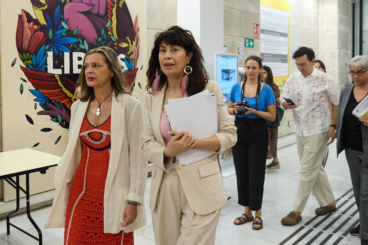 Los técnicos de Cometa sobre los dispositivos antimaltrato: “La baja calidad del material ha derivado en problemas críticos”