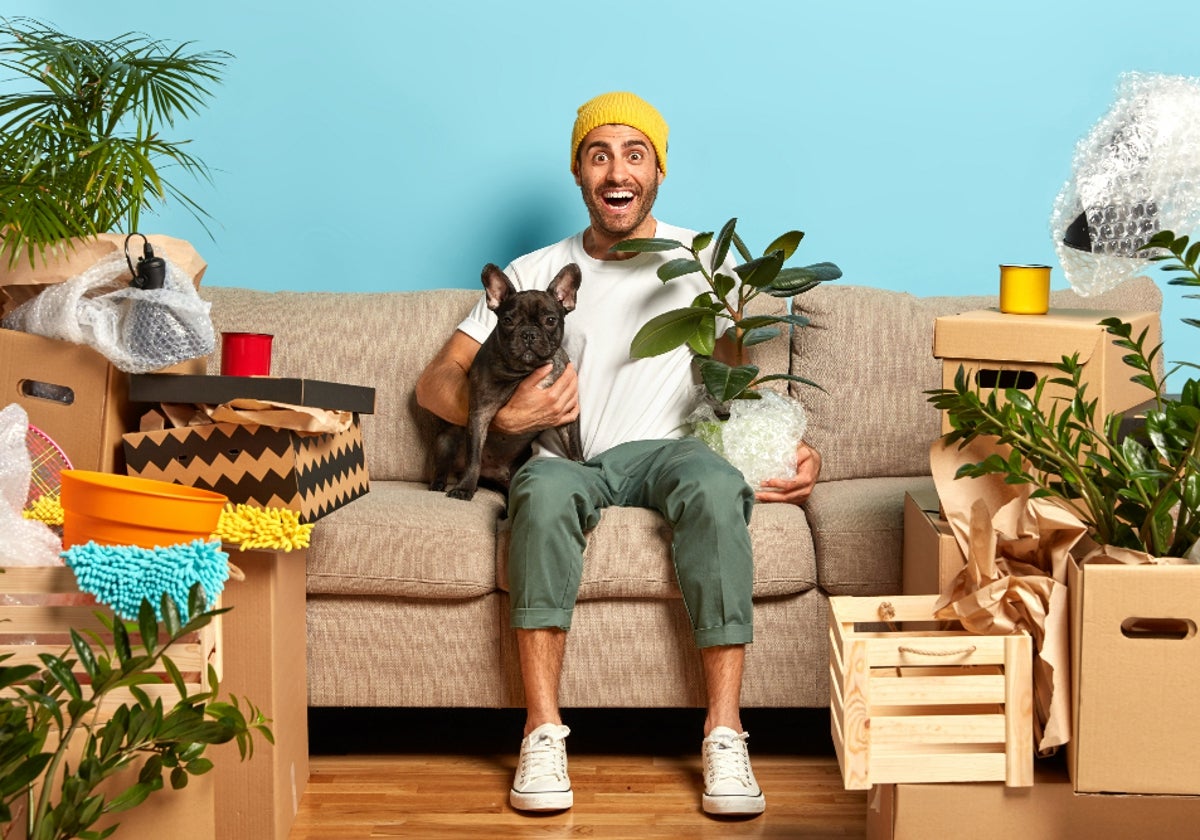 Fiesta de Ofertas Prime de Amazon: un hogar más cómodo para ti y para tus mascotas no tiene precio