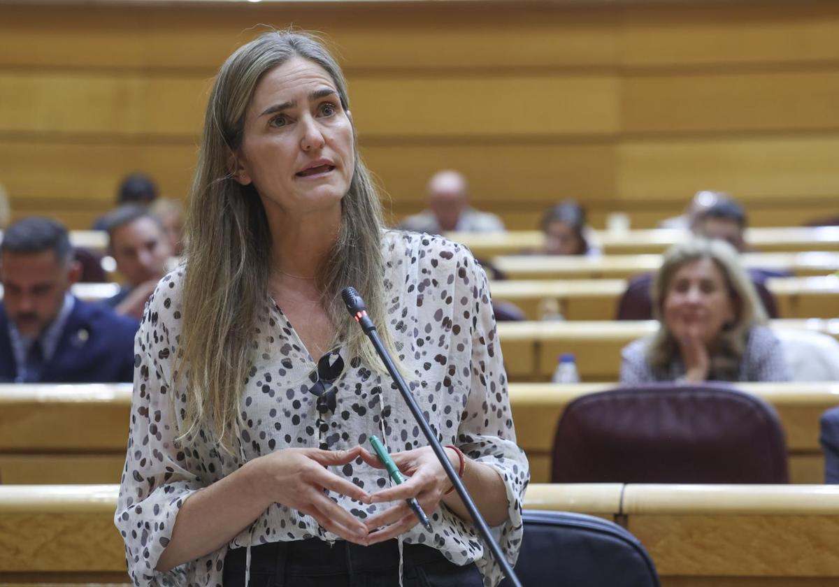 El Gobierno ya está actuando para evitar otro apagón antes de los cambios que introduzca la CNMC