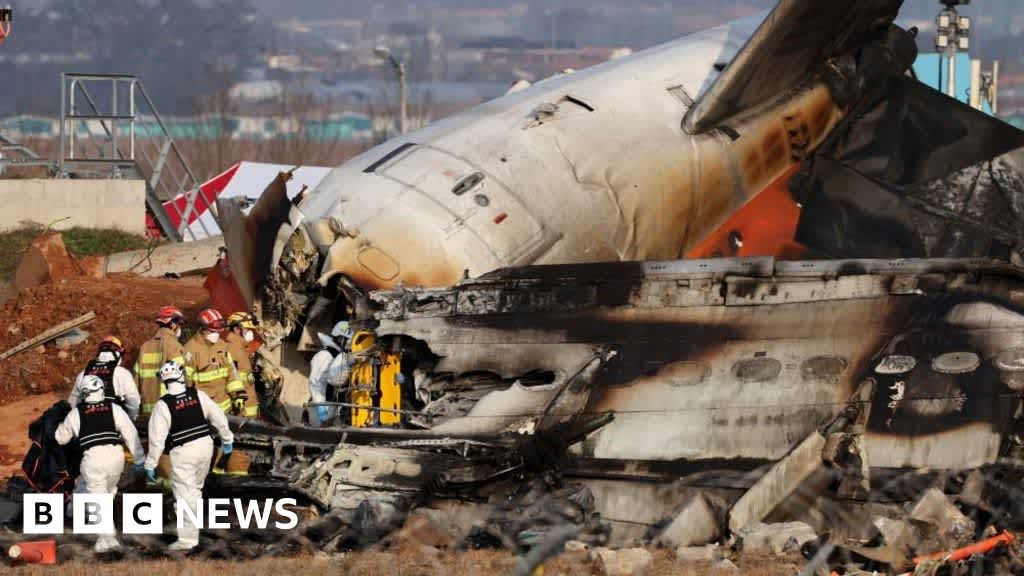 South Korea plane crash kills 179 with investigation into cause under way