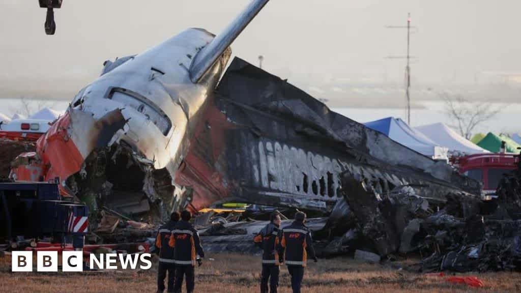 Pre-flight checks found ‘no issues’ before S Korea air crash