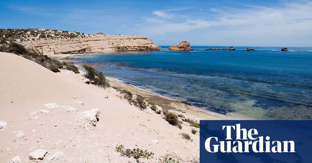 Surfer missing off South Australia’s west coast believed to be victim of shark attack