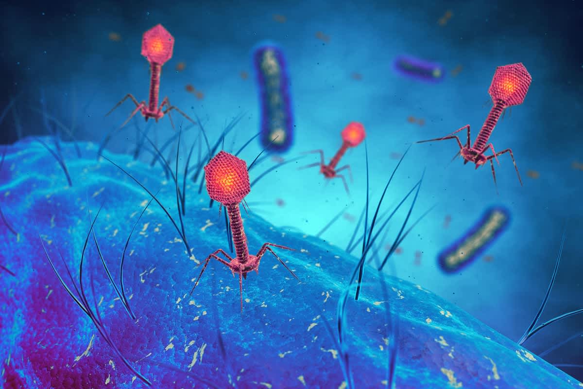 Nearly Forgotten ‘Phage Therapy’ Fights Antibiotic Resistance