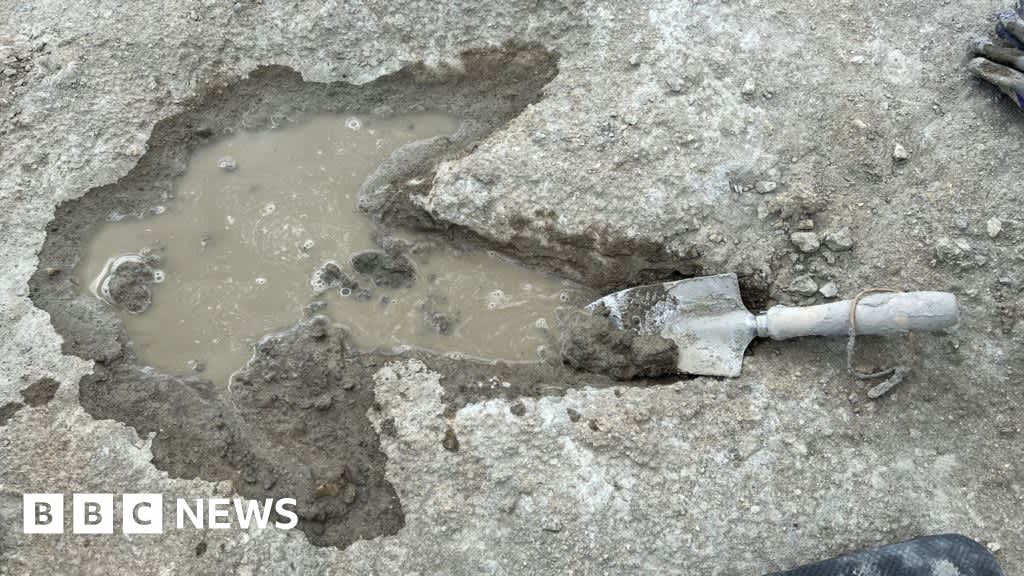 UK’s biggest ever dinosaur footprint site unearthed