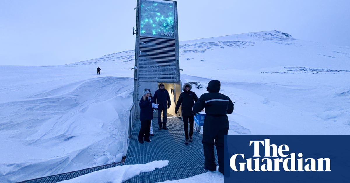 More than 100,000 African seeds put in Svalbard vault for safekeeping