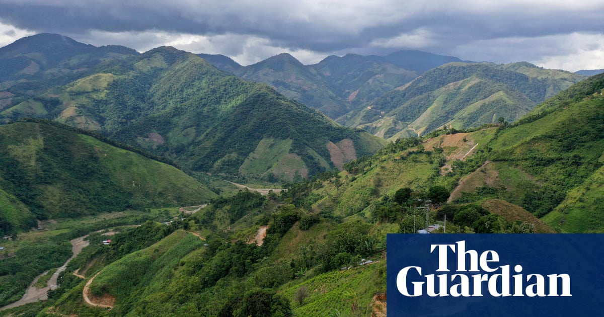 Colombia urges UN to remove coca leaf from harmful substances list