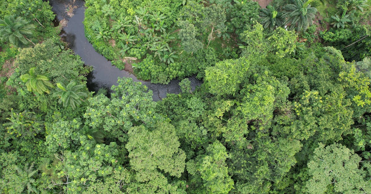 Heal our planet: Protecting nature for climate