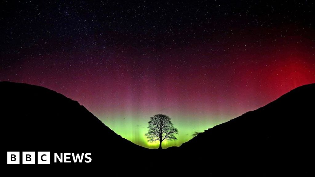 A gaping hole and a double take: How park ranger alerted world to Sycamore Gap tree’s fate
