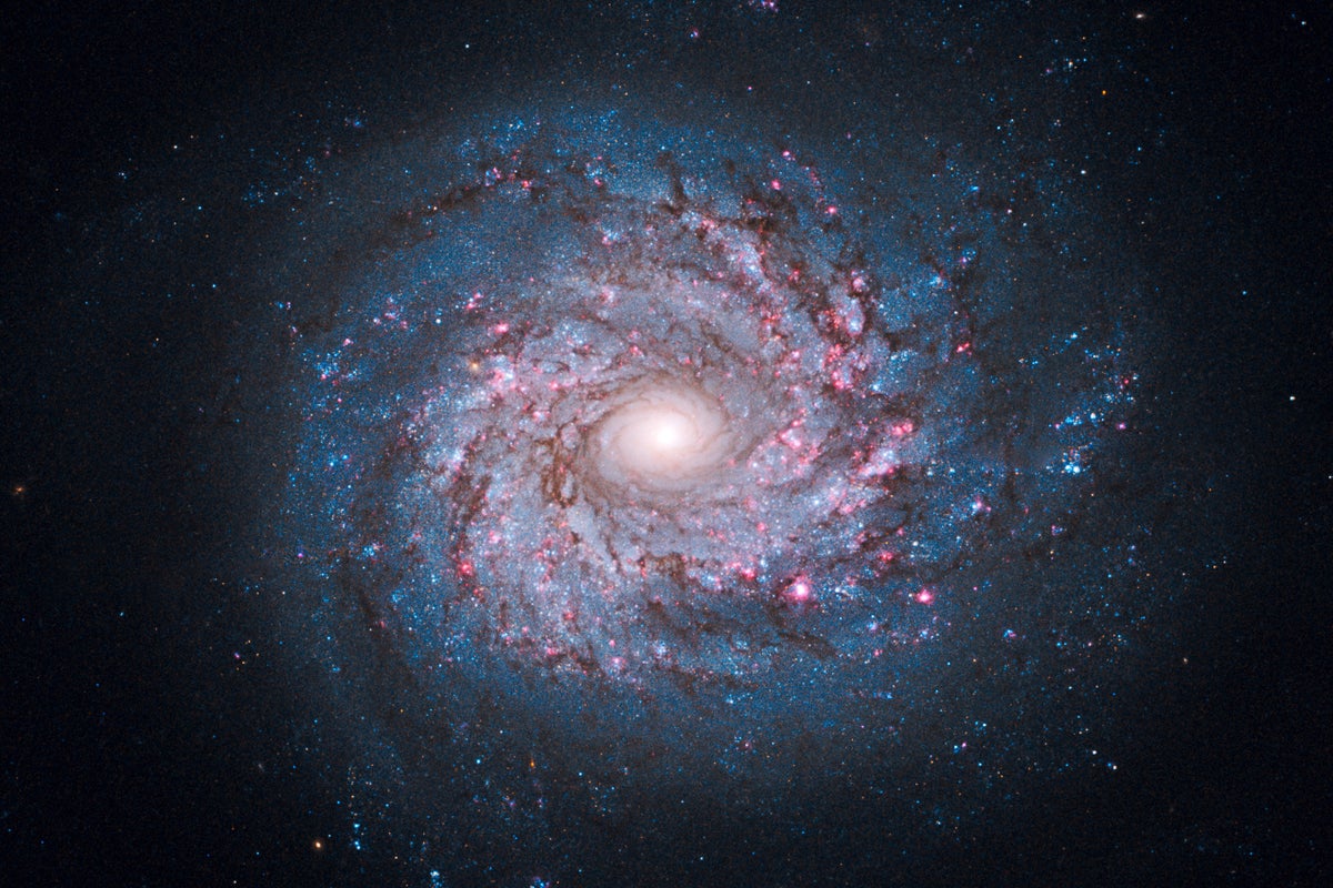 What Is a Galaxy?