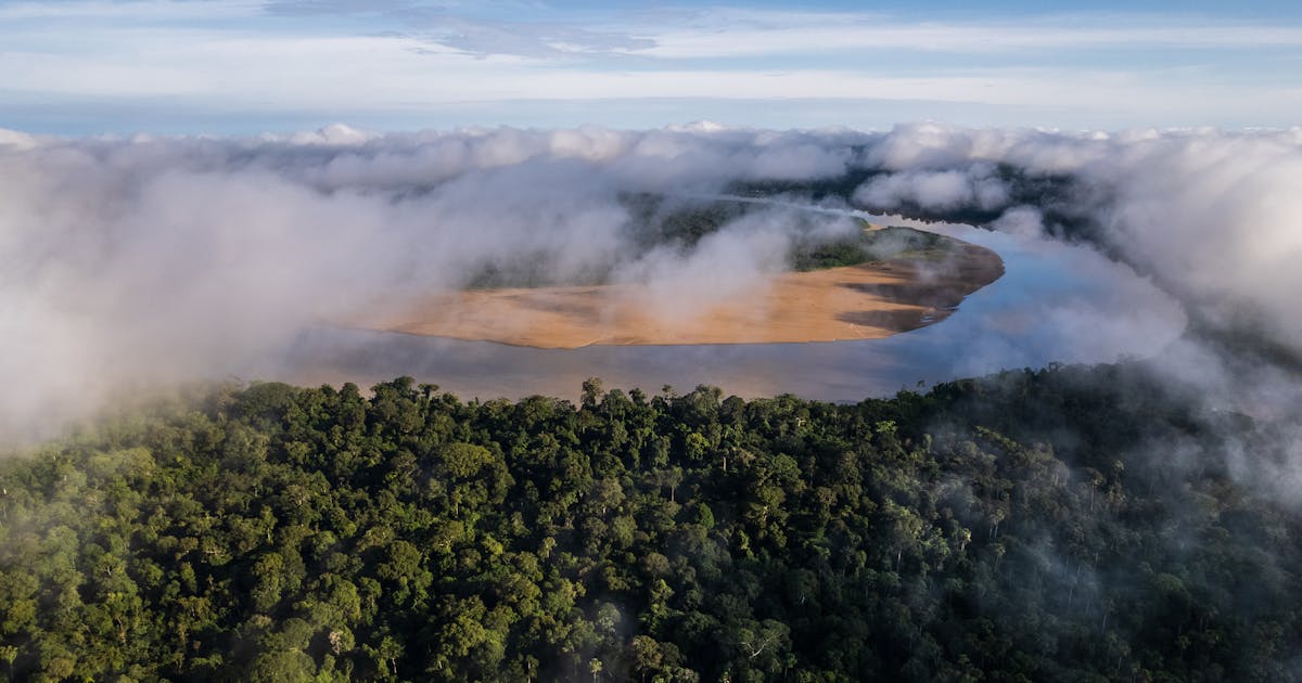 New protected area a win for Amazonian wildlife, people