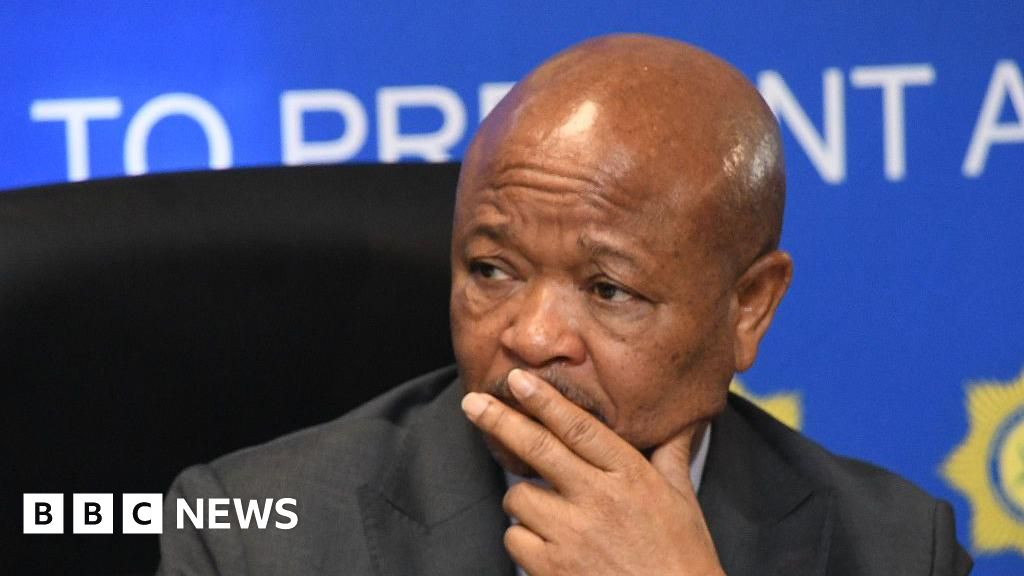 South Africa’s police minister suspended over organised crime allegations